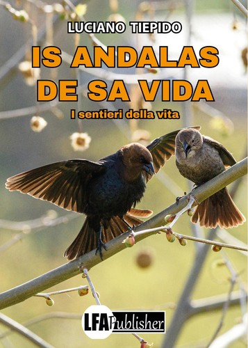 Andalas vida i - sa,